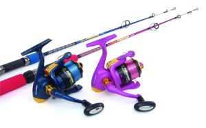 Little minnow combos